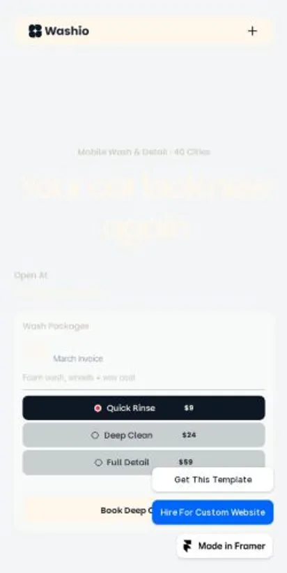 Washio home page on mobile