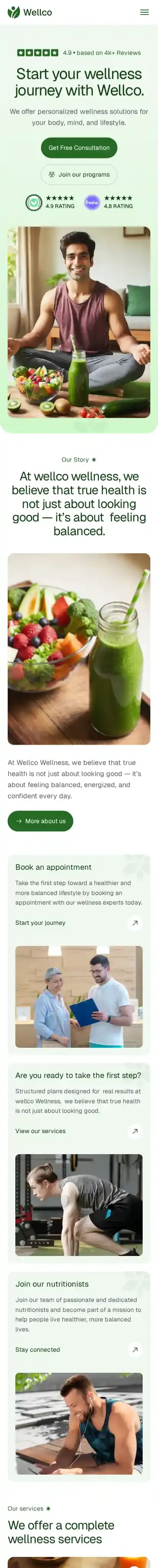 Wellco home page on mobile