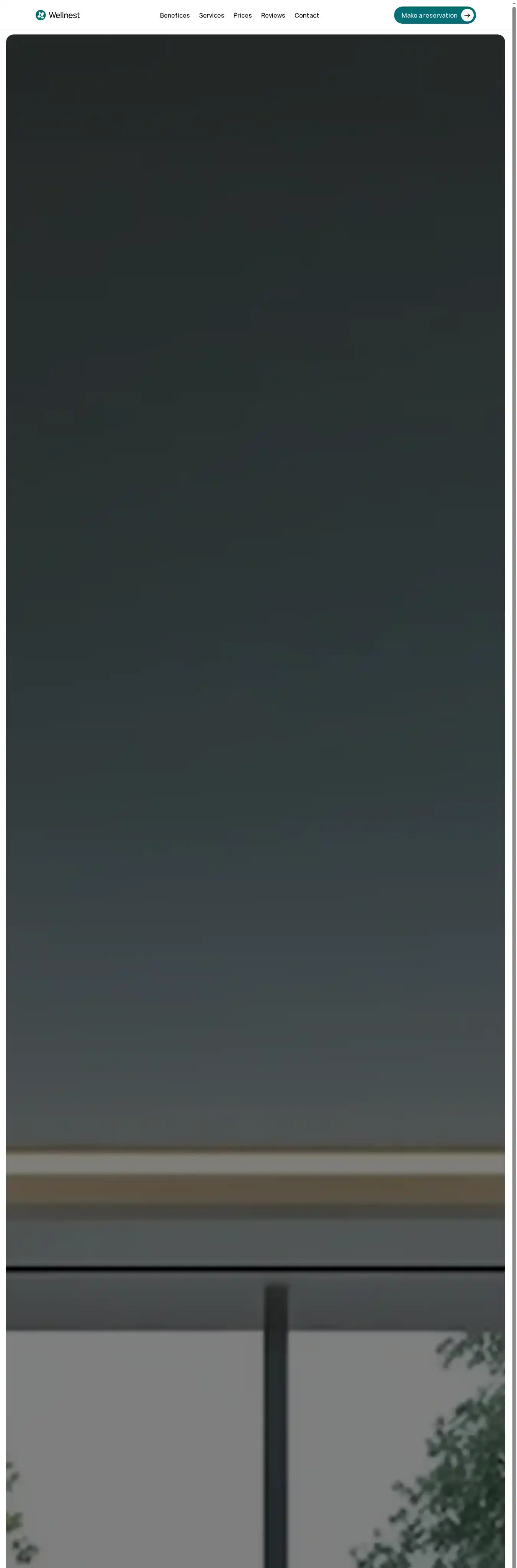 Wellnest home page on desktop