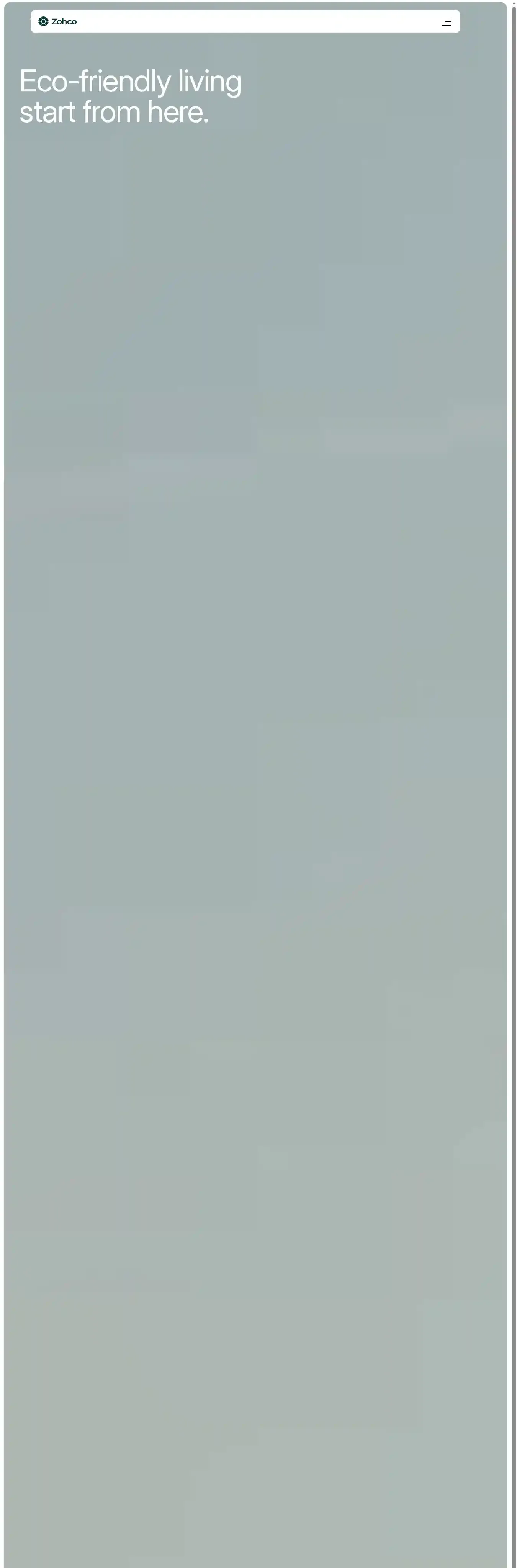 Zohco home page on desktop