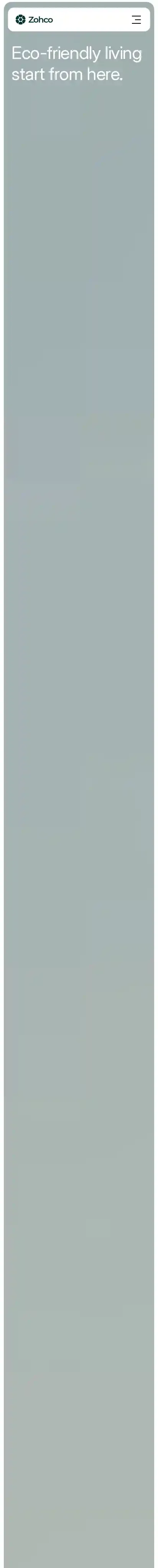 Zohco home page on mobile