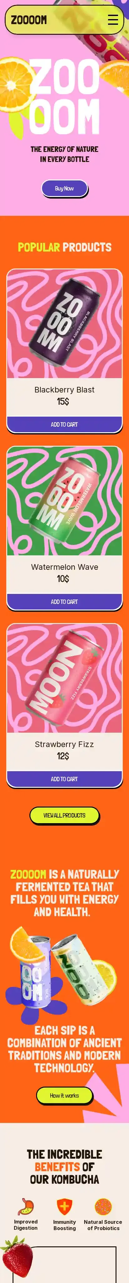 Zooom home page on mobile