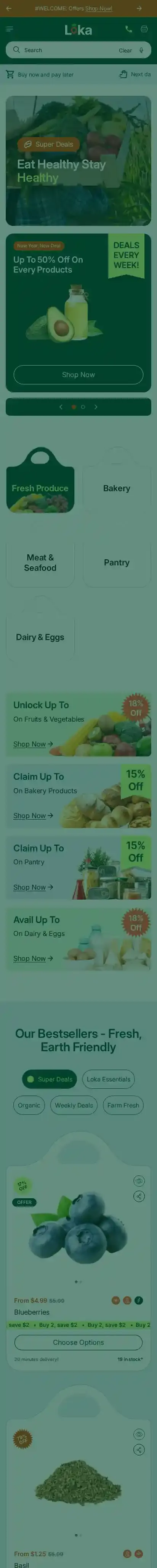 Loka home page on mobile