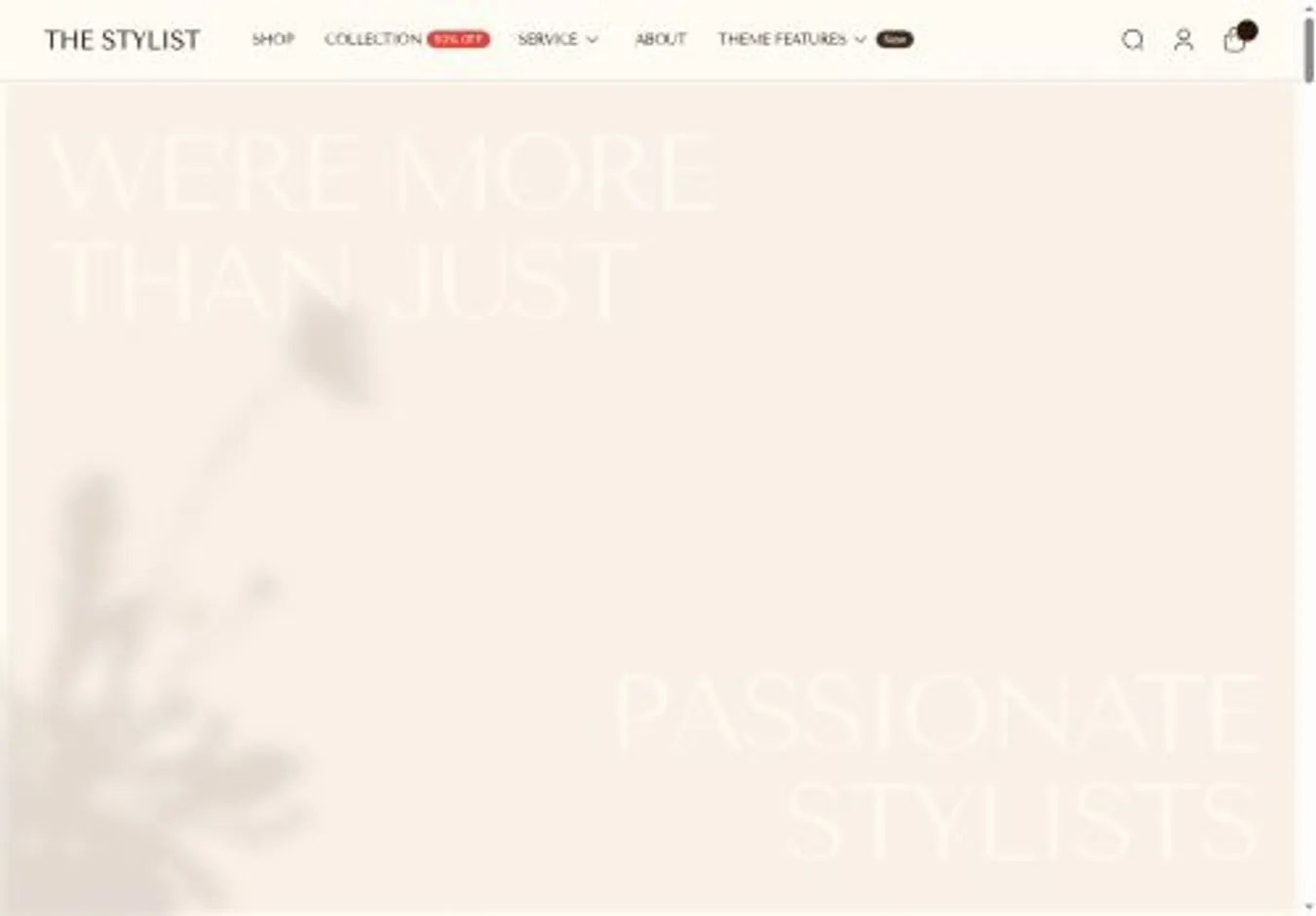 Stylist home page on desktop