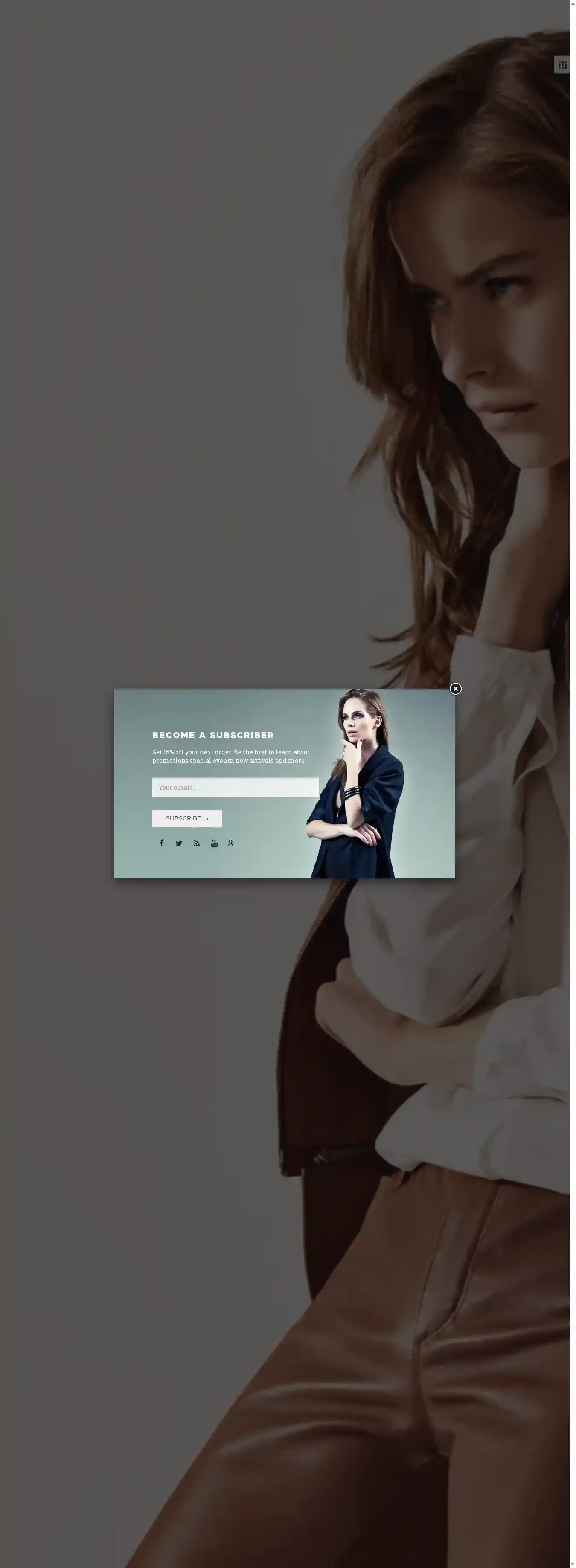 Ap Anywhere Shopify Responsive home page on desktop