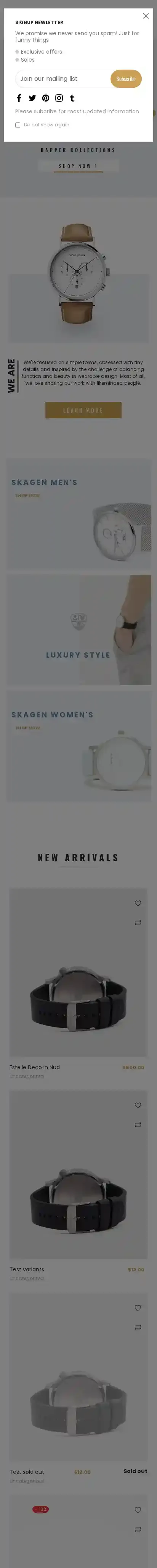Ap Flinque Shopify Theme for Hand Watch | Accessories home page on mobile