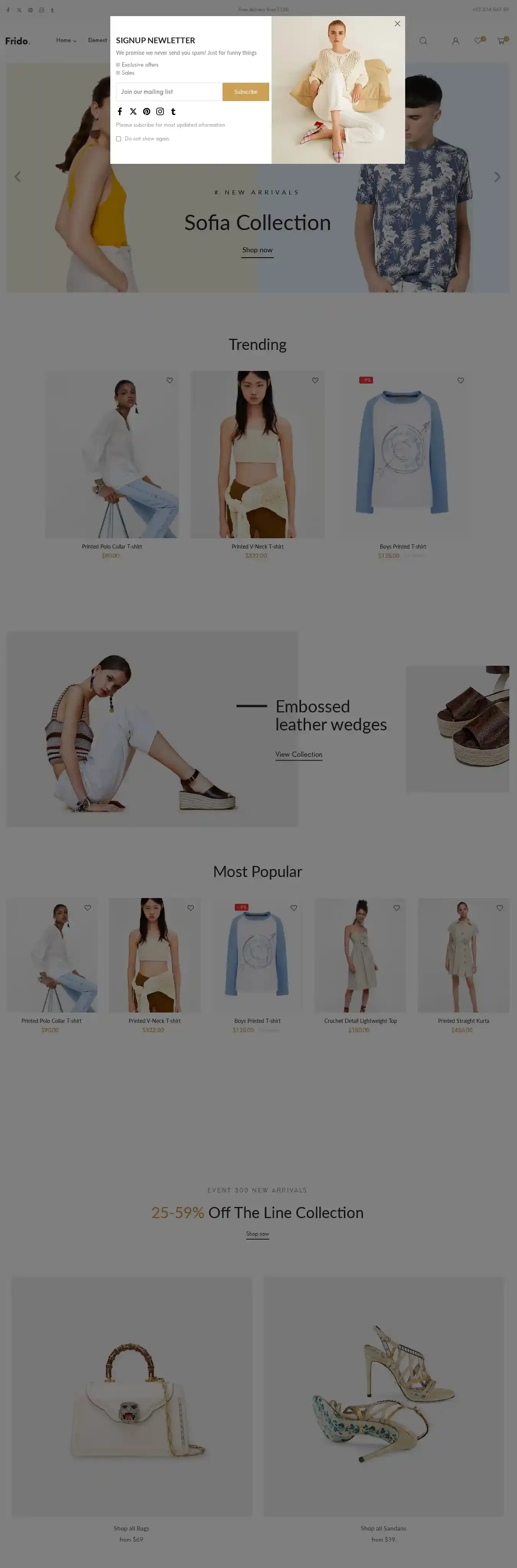 Ap Frido Clothing & Fashion Boutique home page on desktop