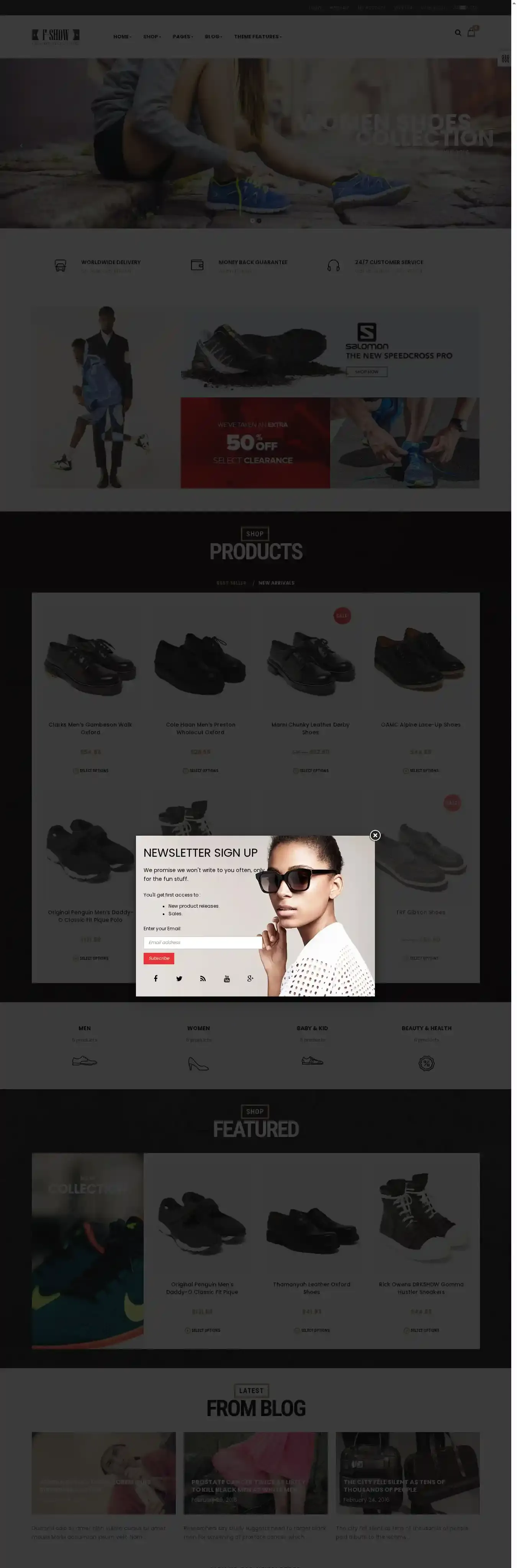 Ap Fshow Shopify Responsive home page on desktop
