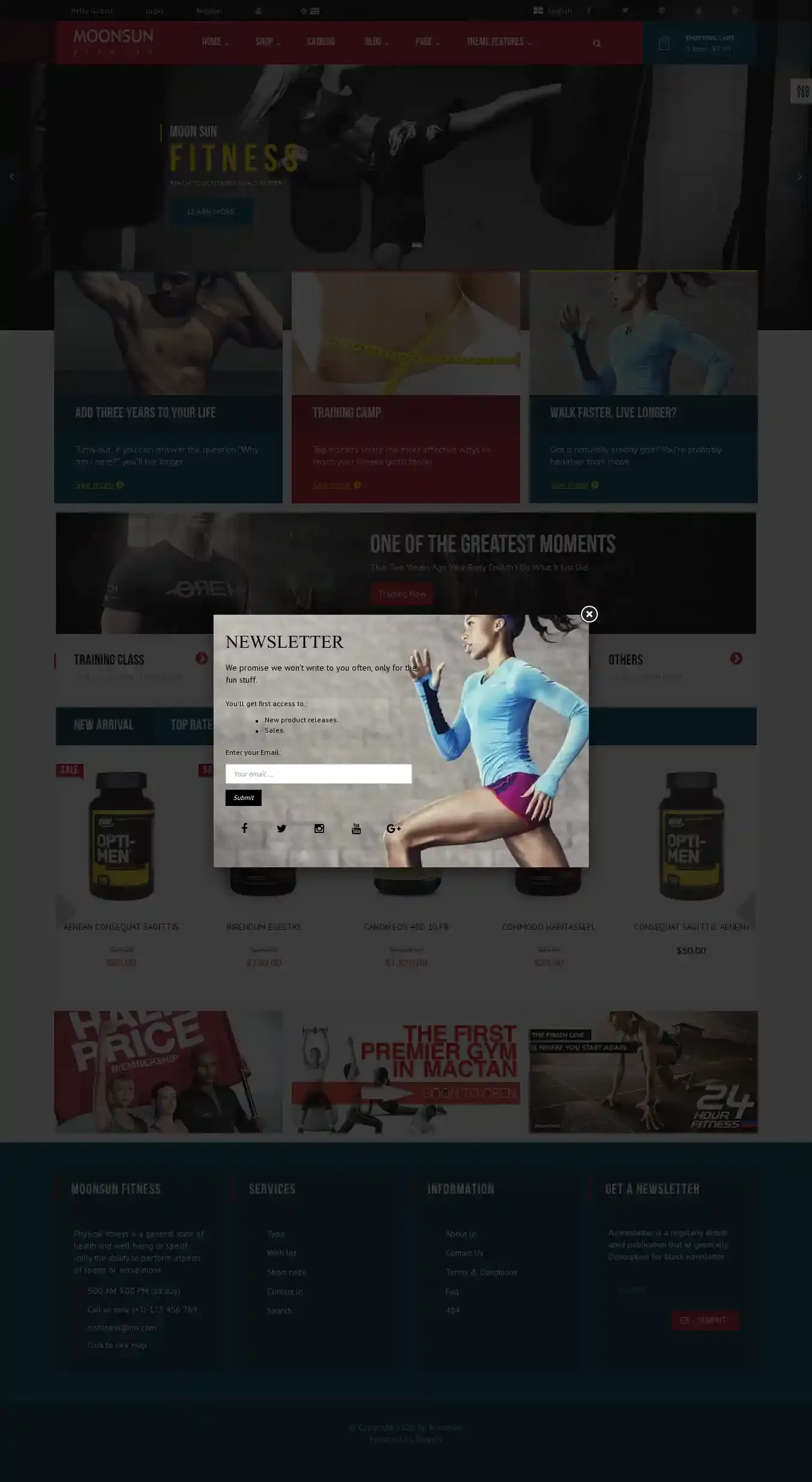 Ap Moonsun home page on desktop