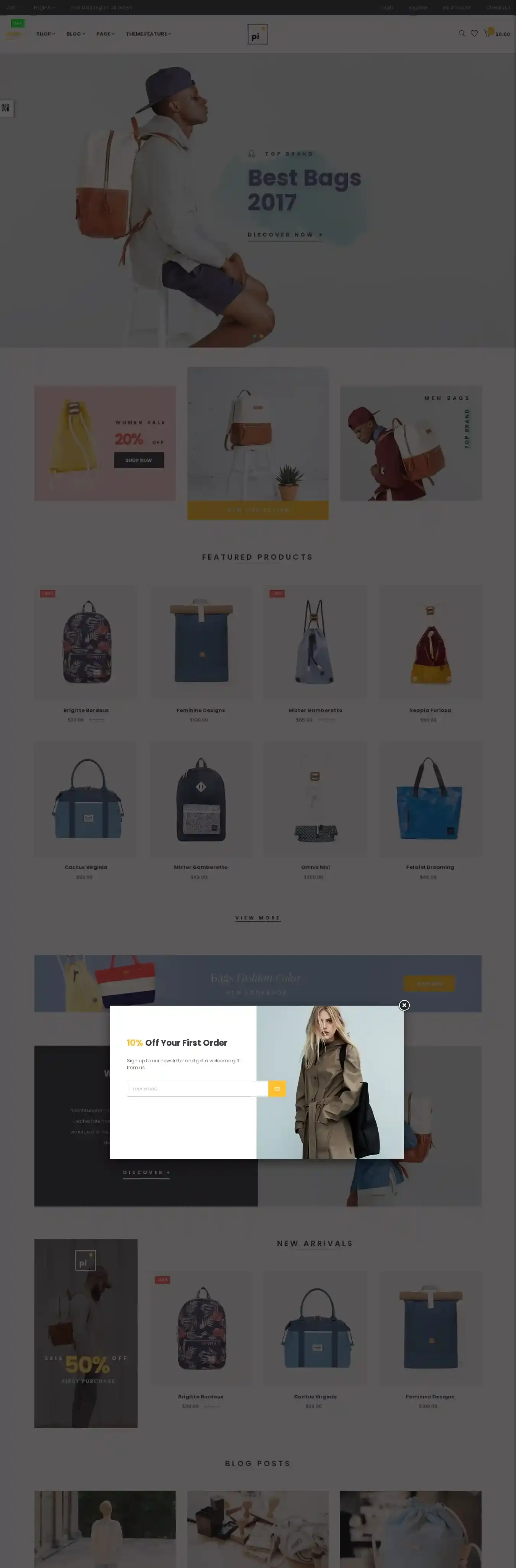 Ap Pi Bags home page on desktop