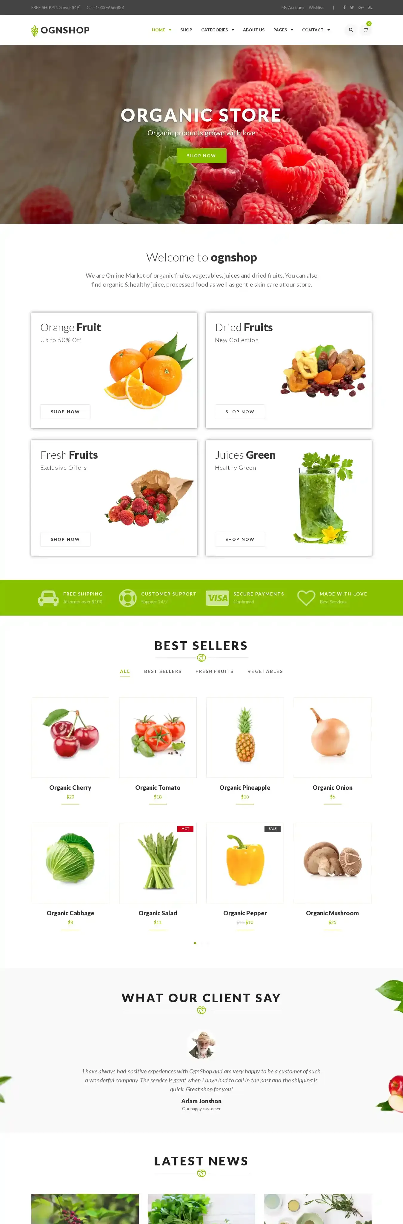 Ognshop home page on desktop