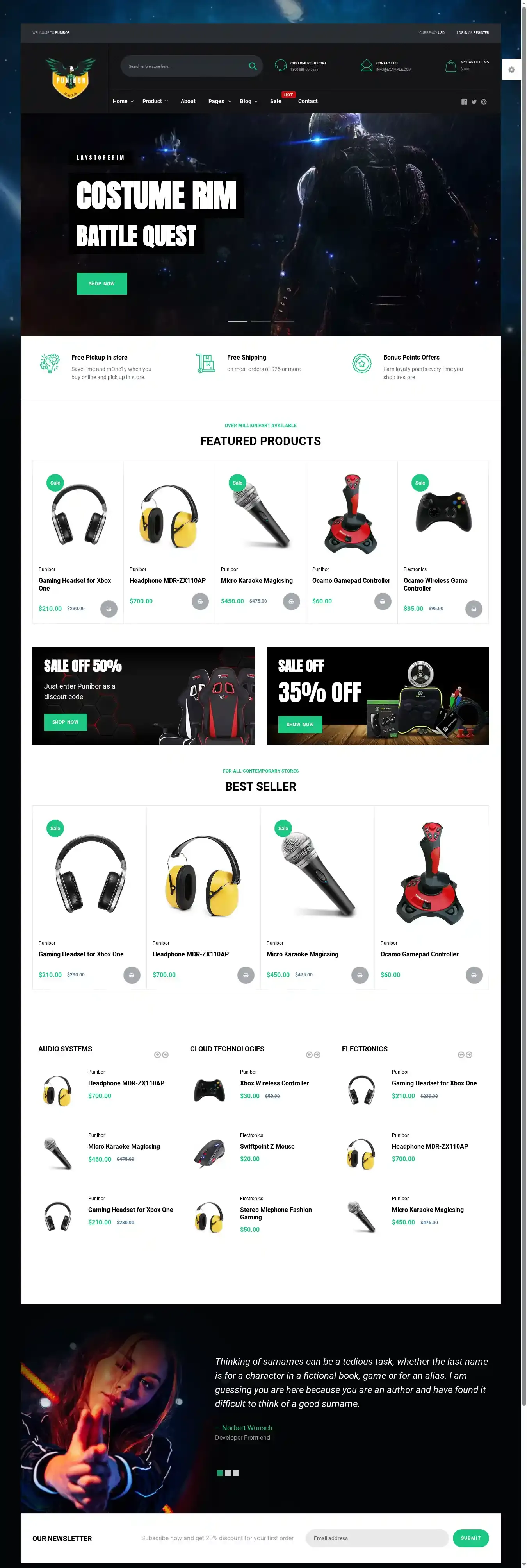 Punibor Gaming Store home page on desktop