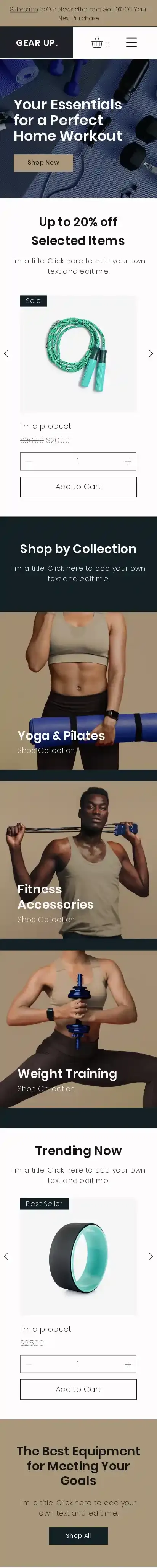 Sporting Goods Store home page on mobile