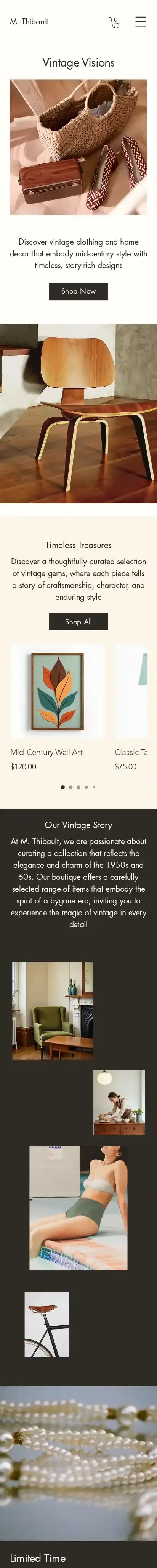 Vintage Shop (Retro) home page on mobile