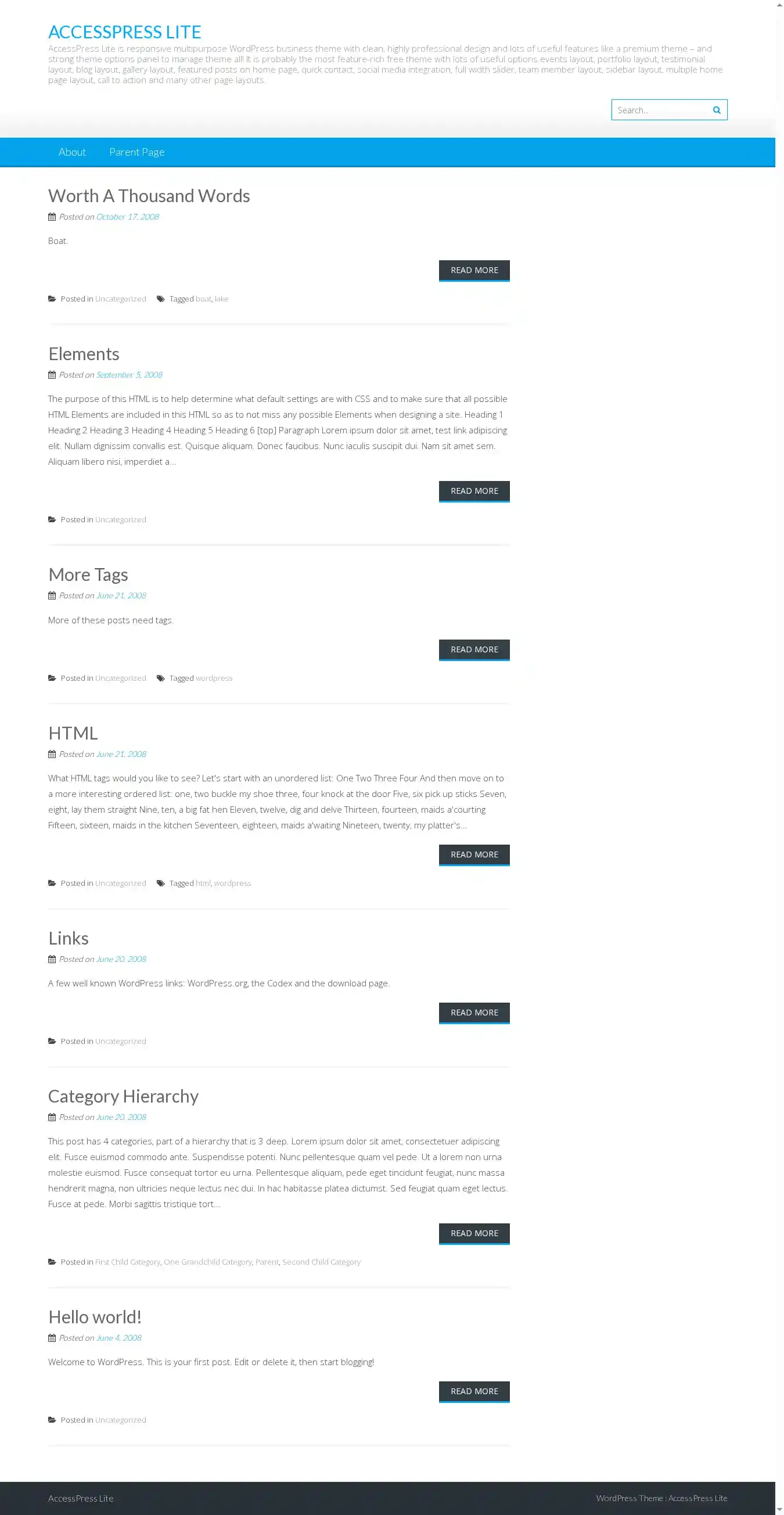AccessPress Lite home page on desktop