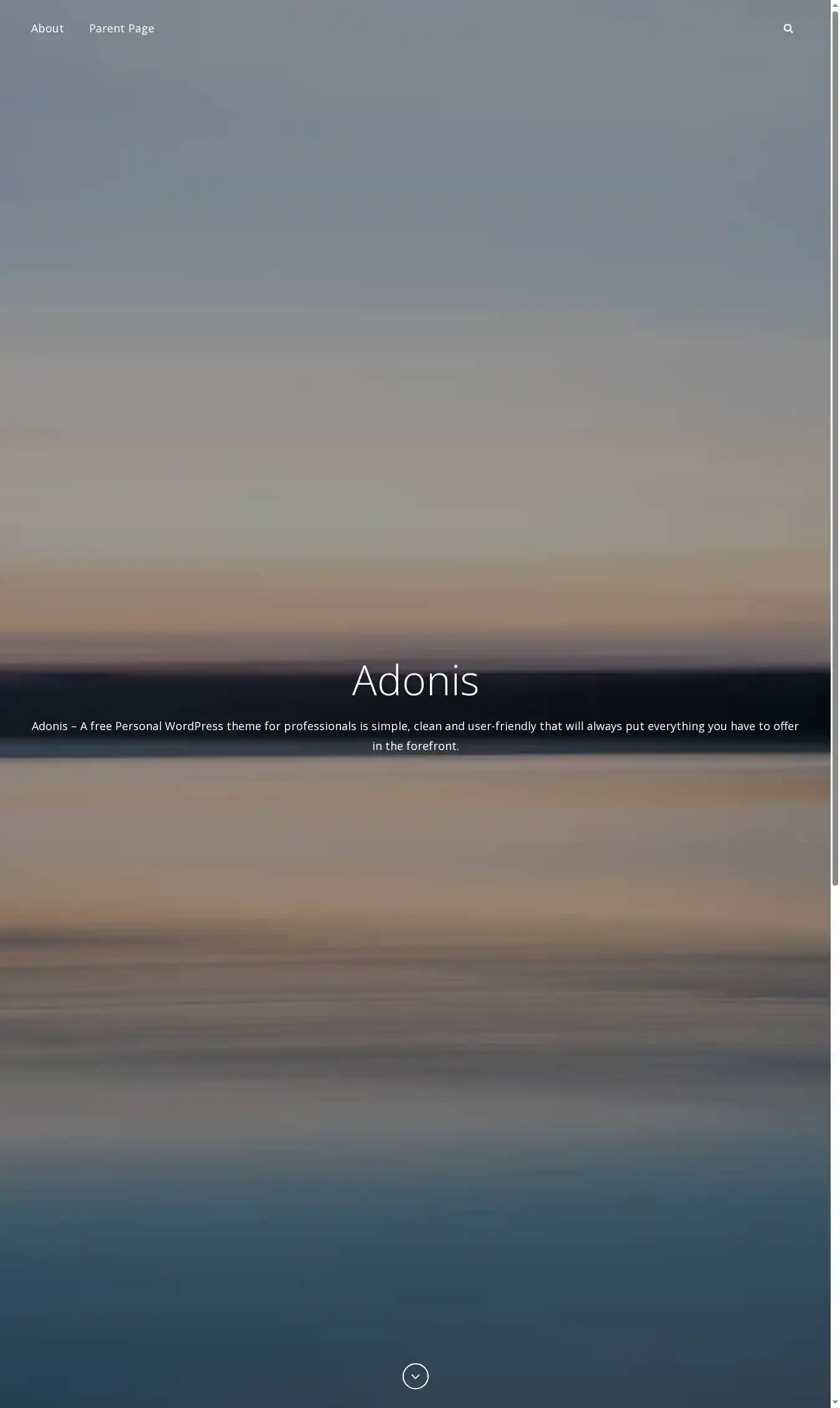 Adonis home page on desktop