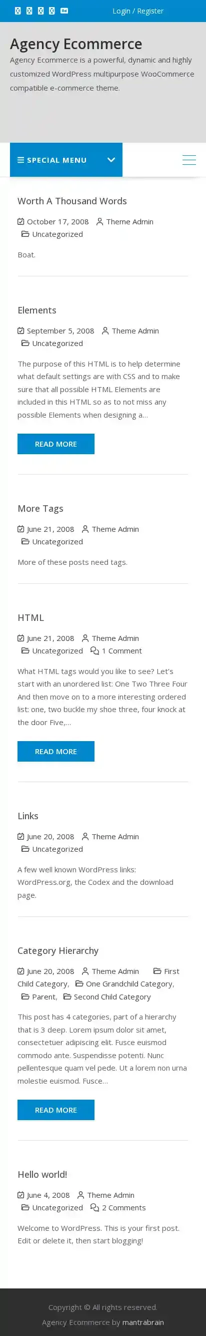 Agency Ecommerce home page on mobile