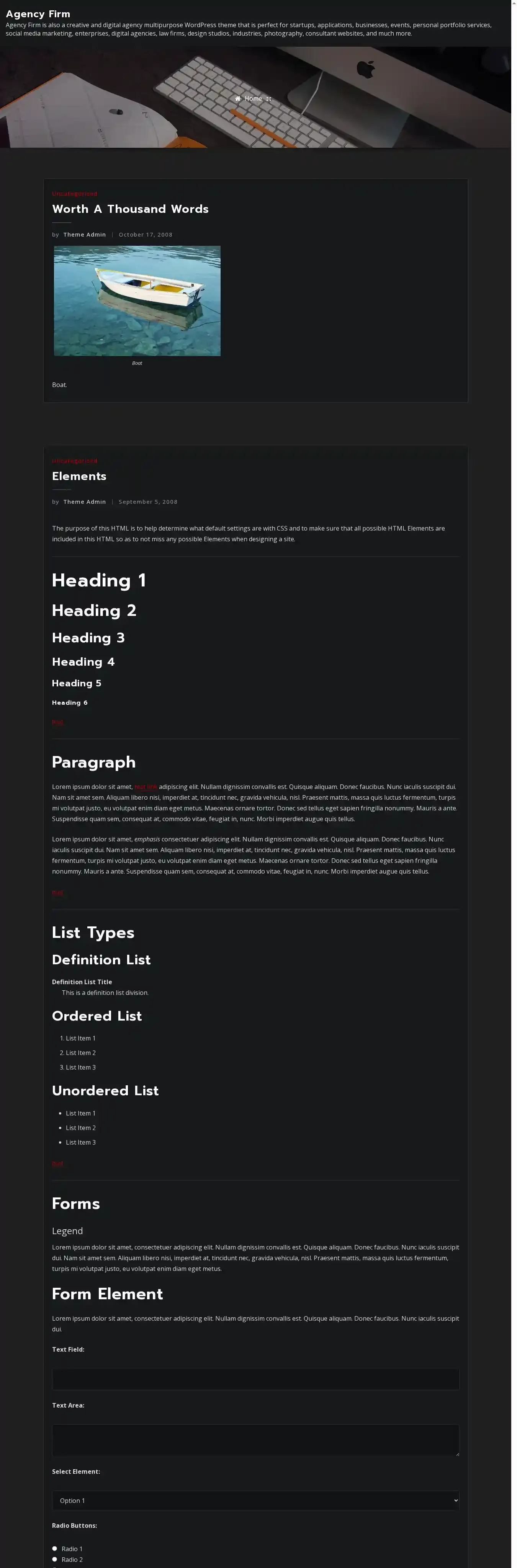 Agency Firm home page on desktop