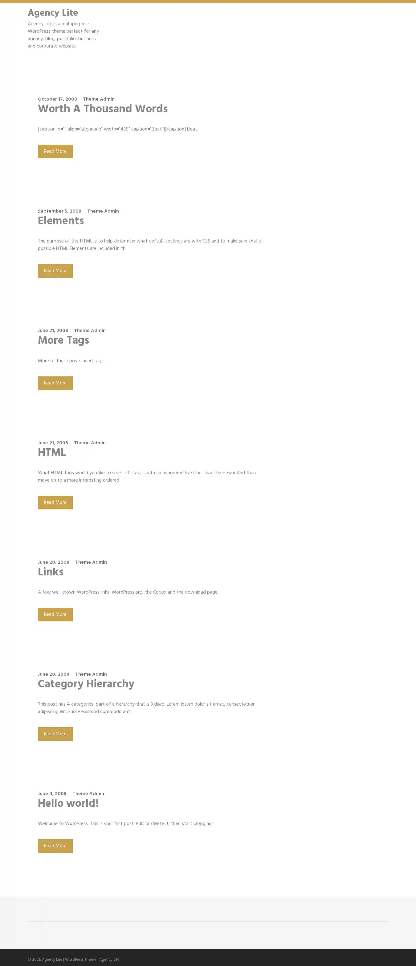 Agency Lite home page on desktop