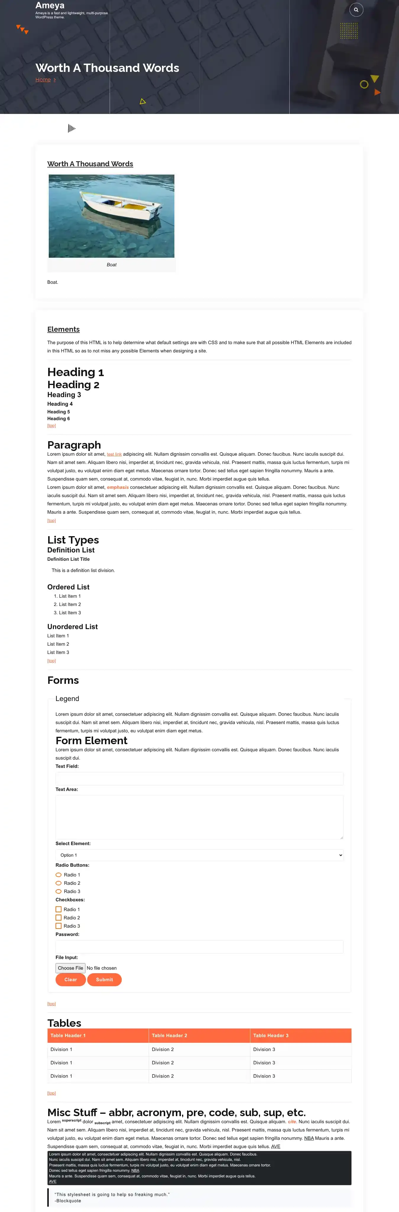 Ameya home page on desktop