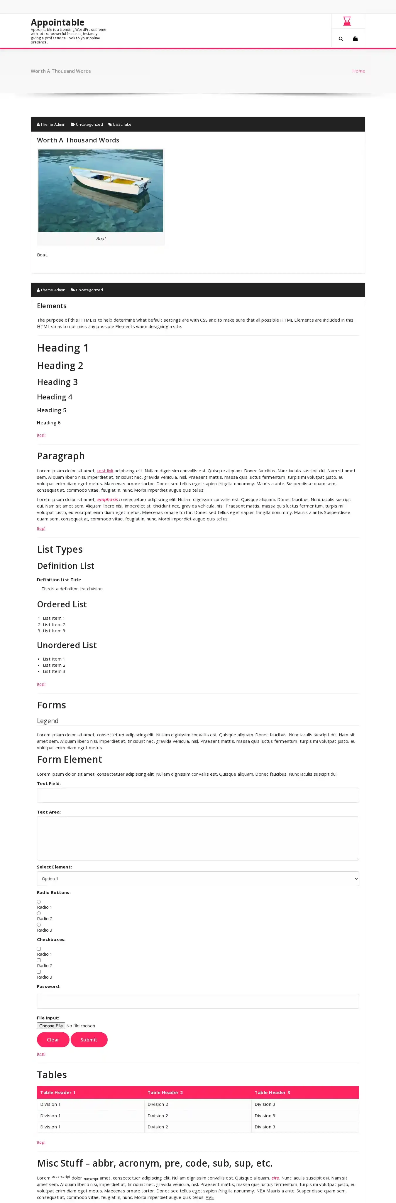 Appointable home page on desktop