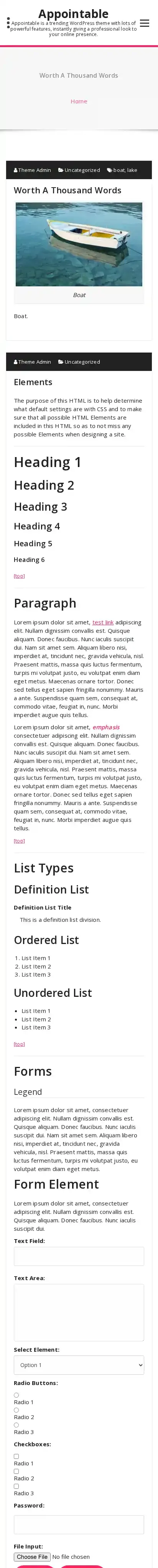Appointable home page on mobile