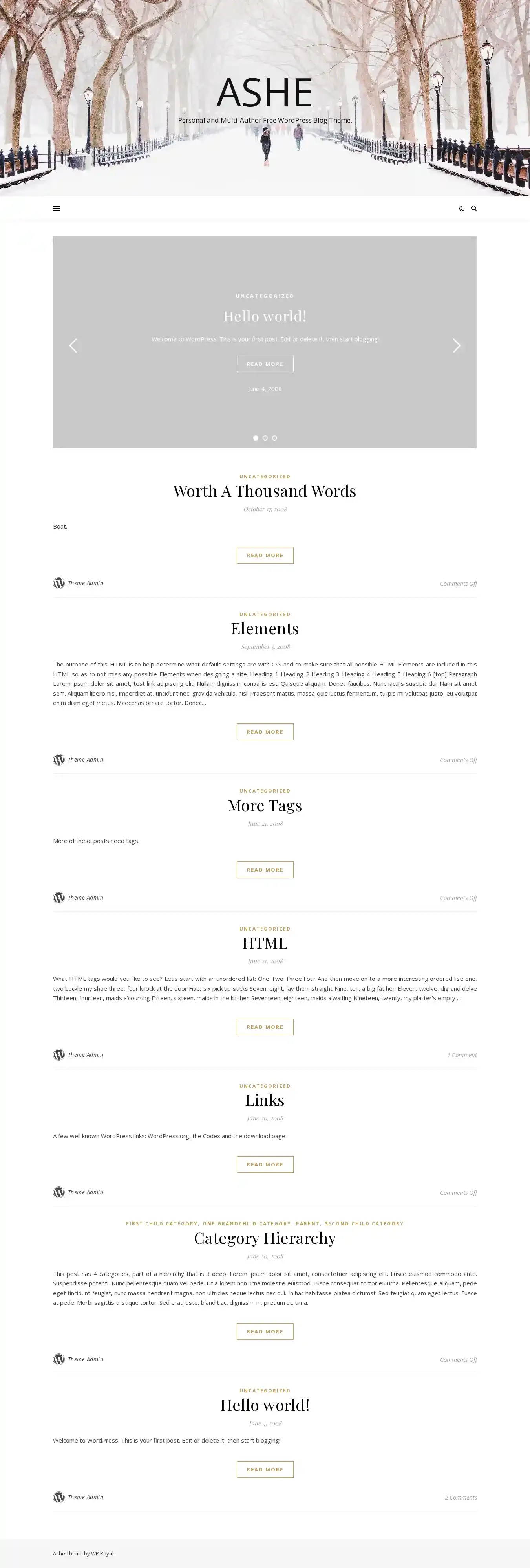 Ashe home page on desktop