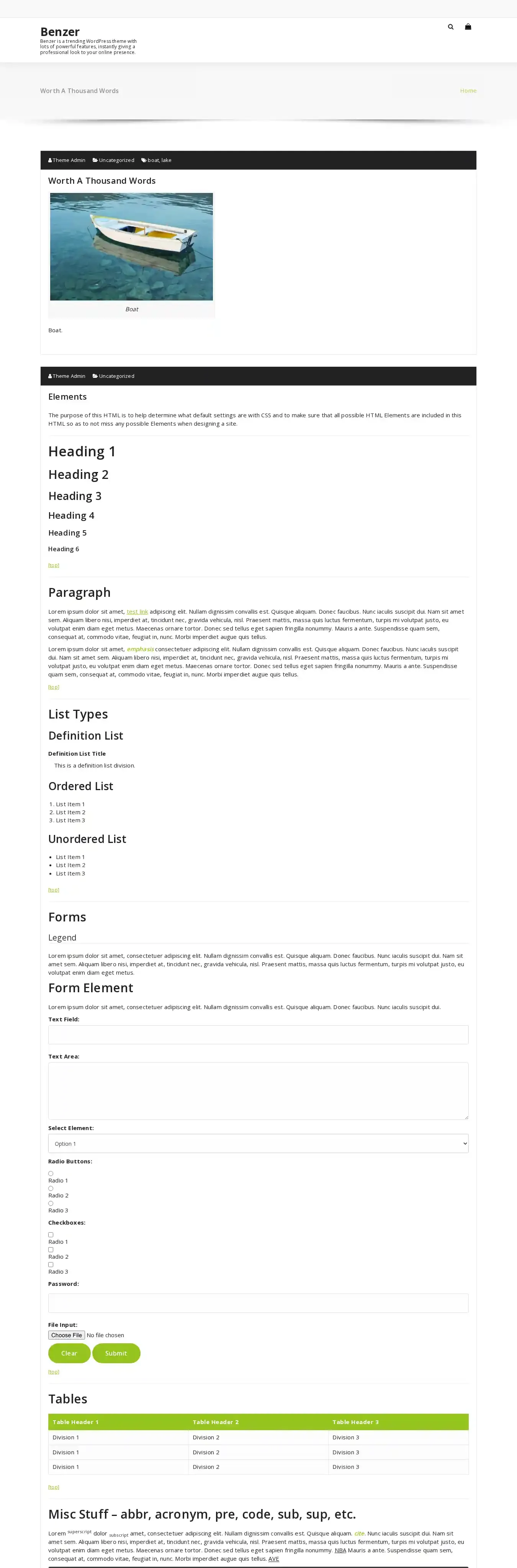 Benzer home page on desktop