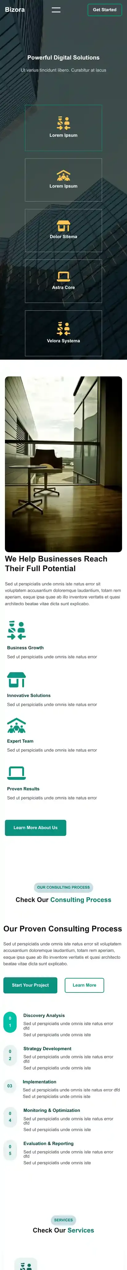 Bizora home page on mobile