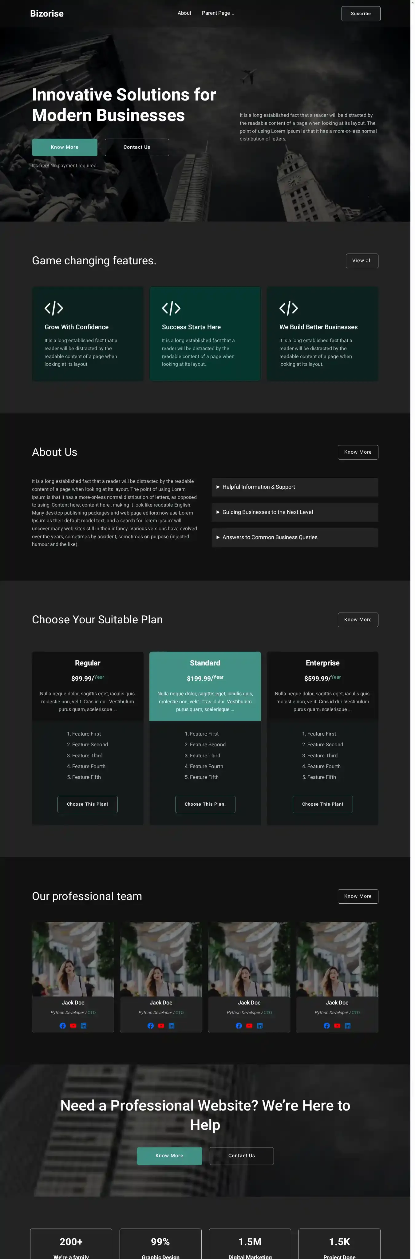 Bizorise home page on desktop