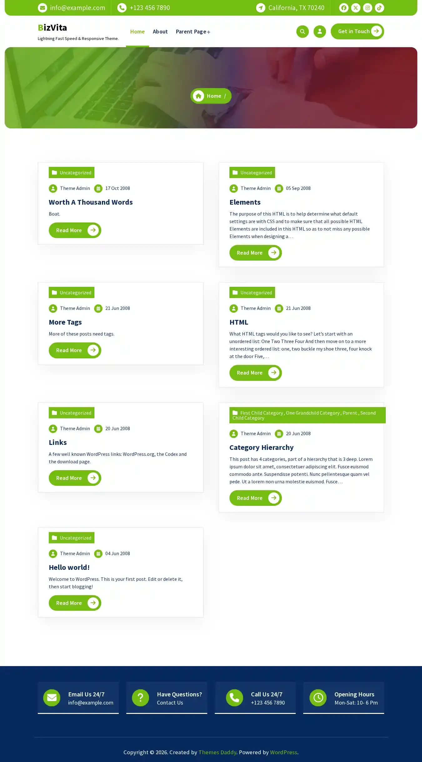 BizVita home page on desktop