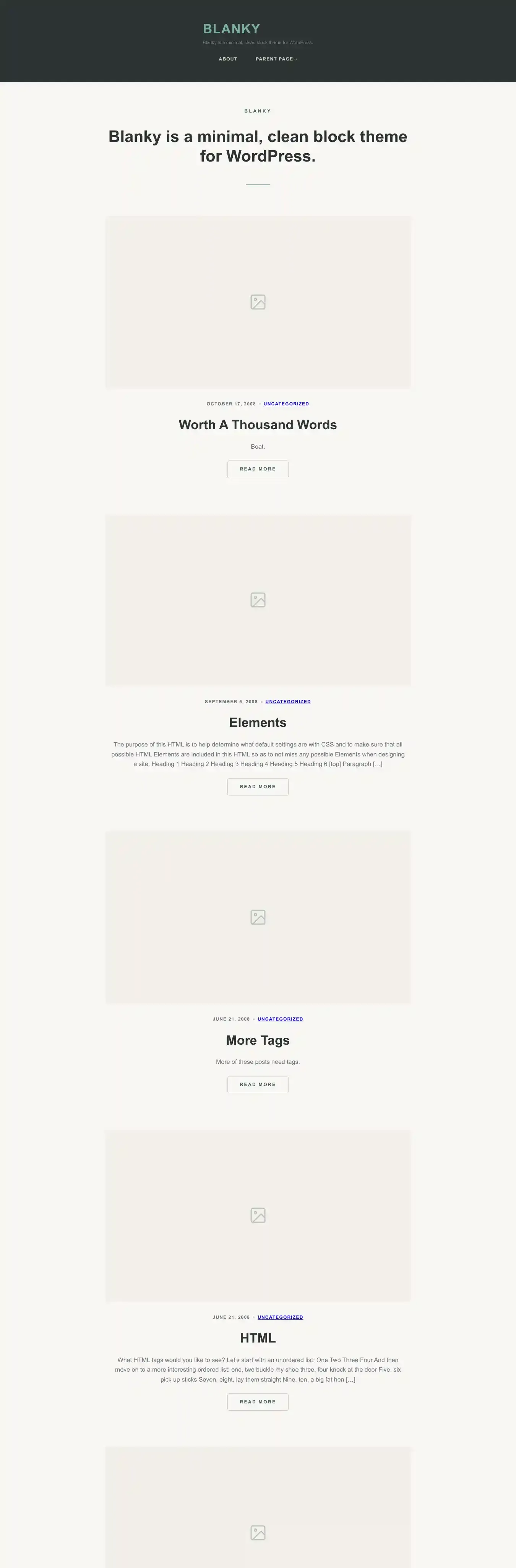 Blanky home page on desktop