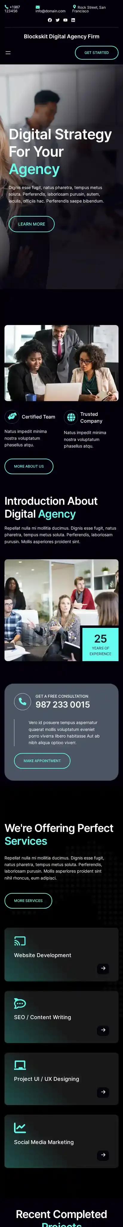 Blockskit Digital Agency Firm home page on mobile