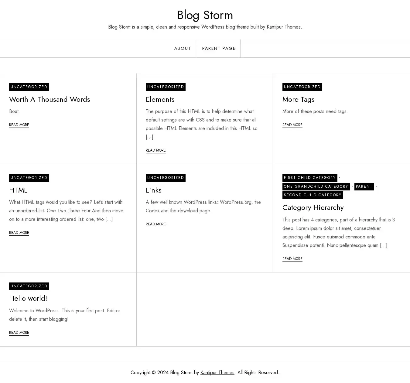 Blog Storm home page on desktop