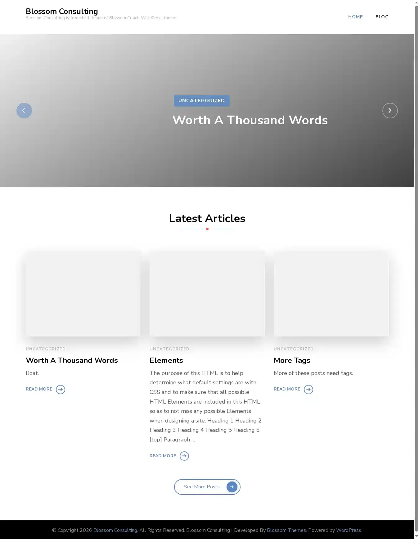 Blossom Consulting home page on desktop