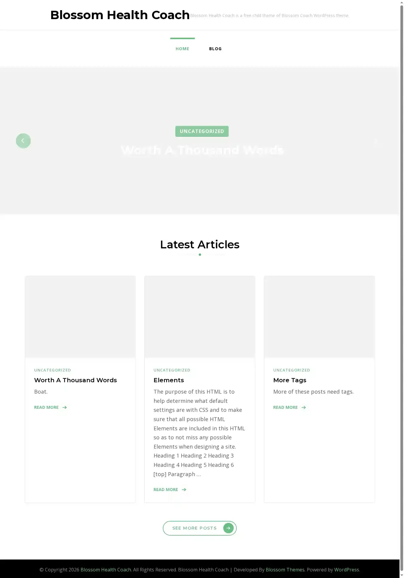 Blossom Health Coach home page on desktop