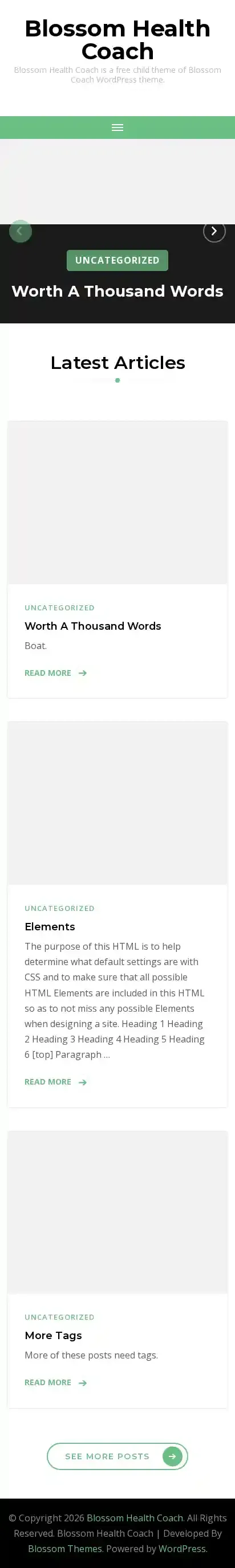 Blossom Health Coach home page on mobile