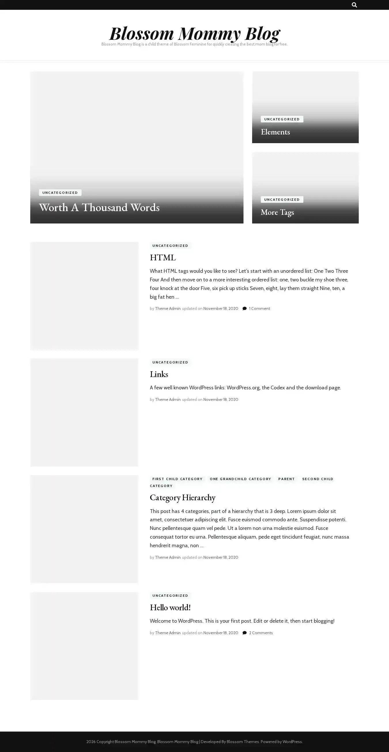 Blossom Mommy Blog home page on desktop