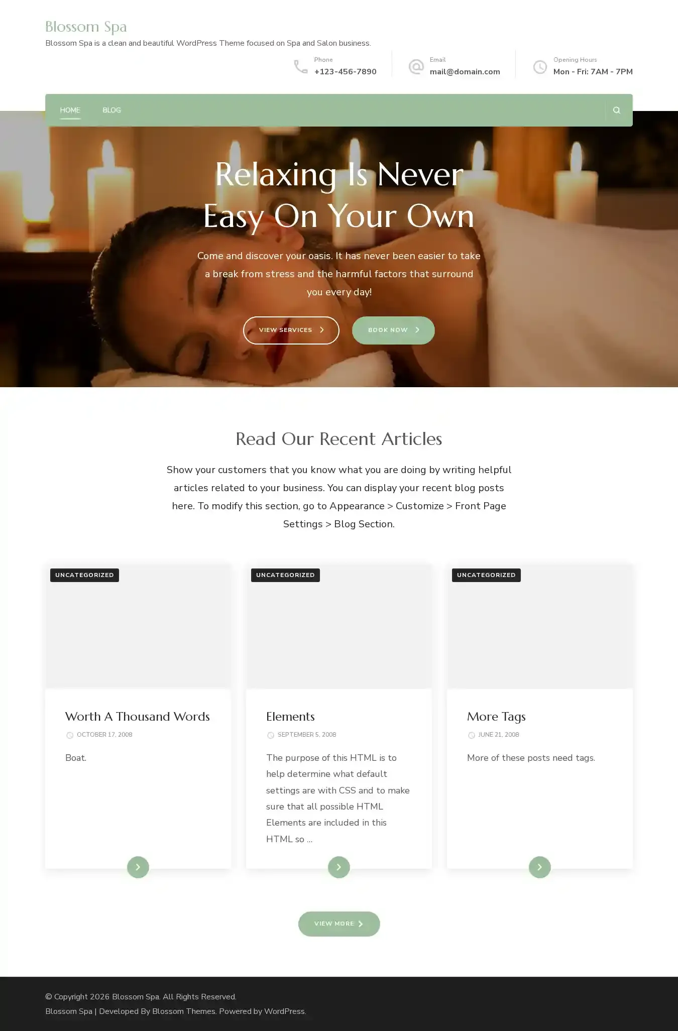 Blossom Spa home page on desktop