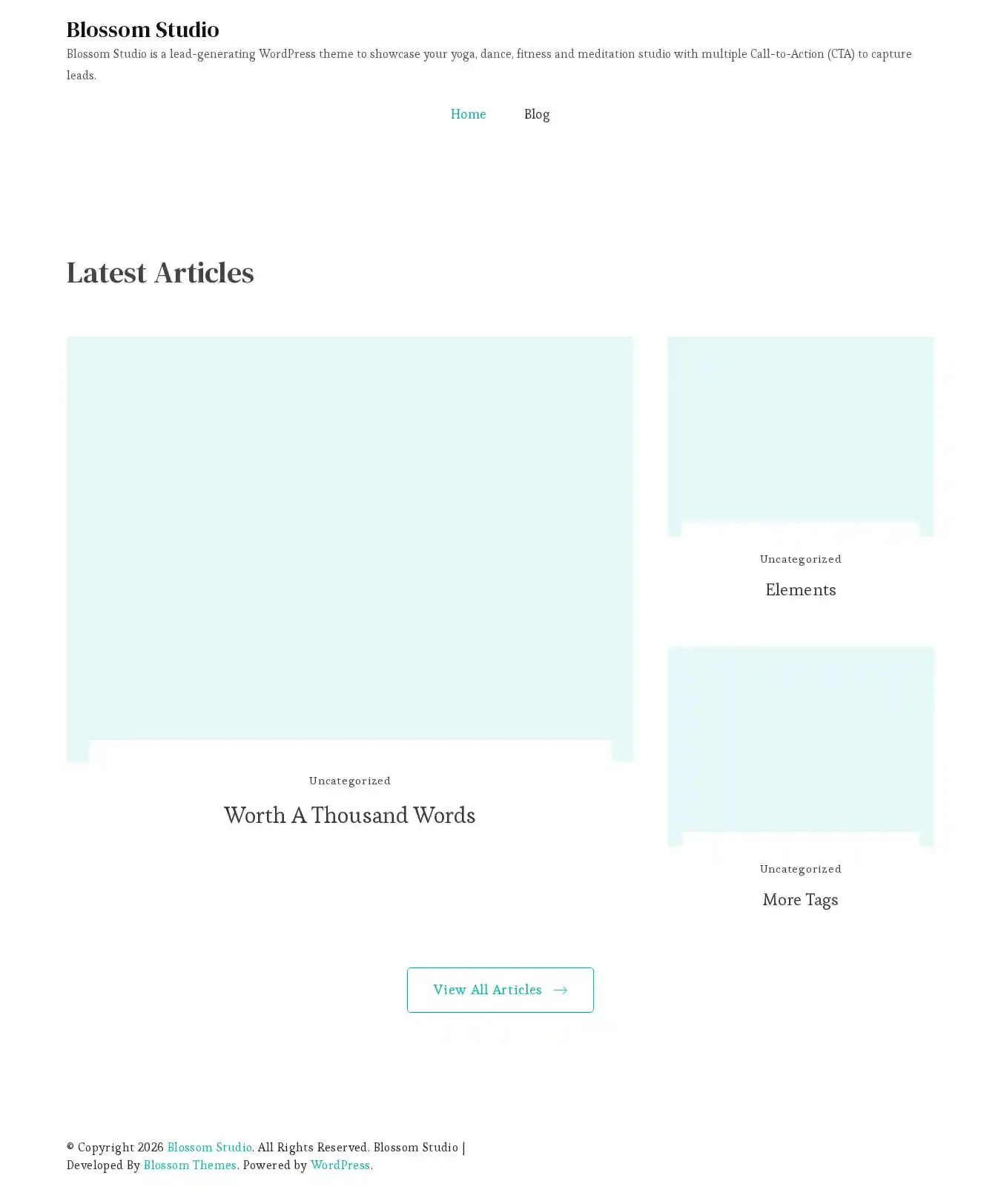 Blossom Studio home page on desktop