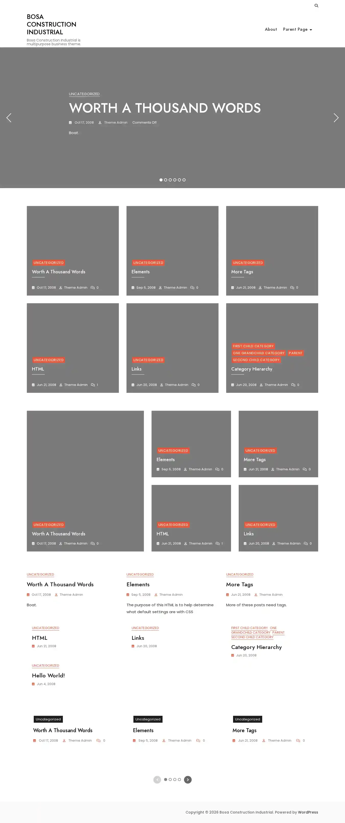 Bosa Construction Industrial home page on desktop
