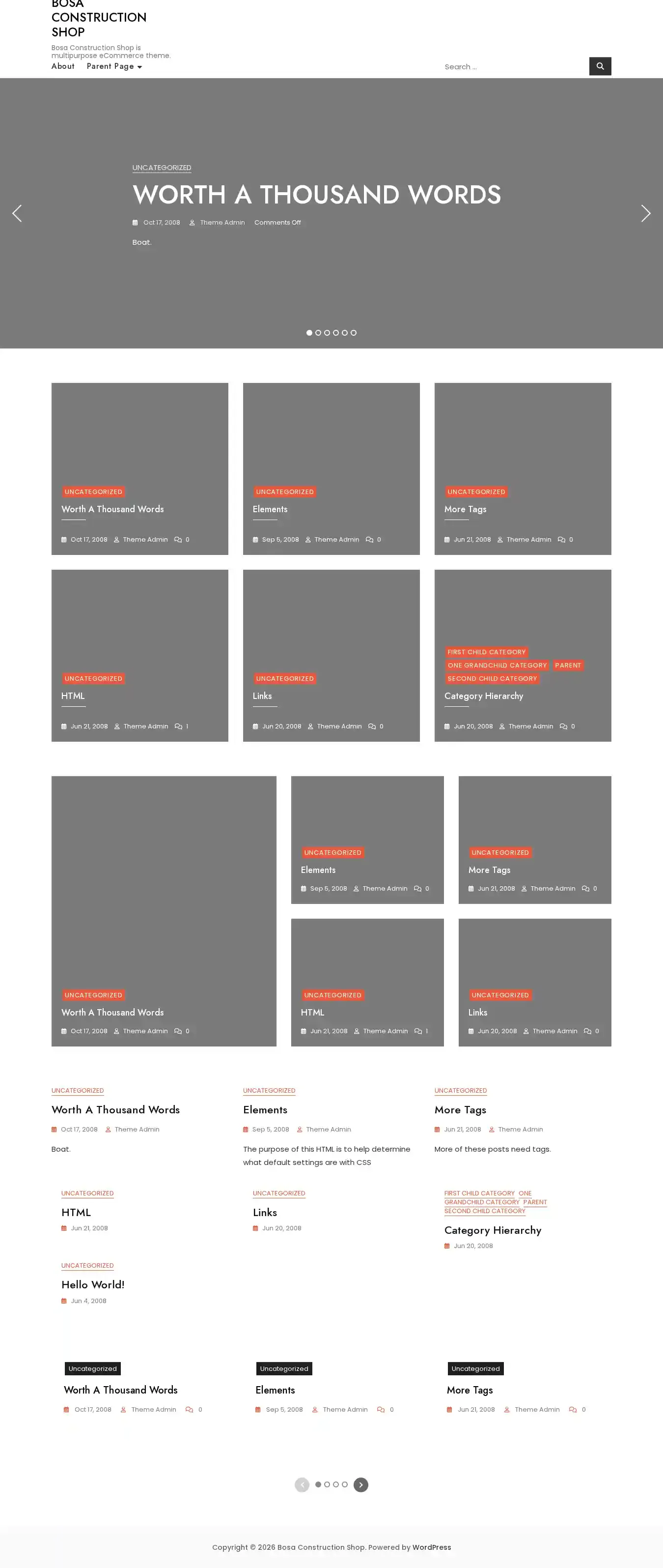 Bosa Construction Shop home page on desktop