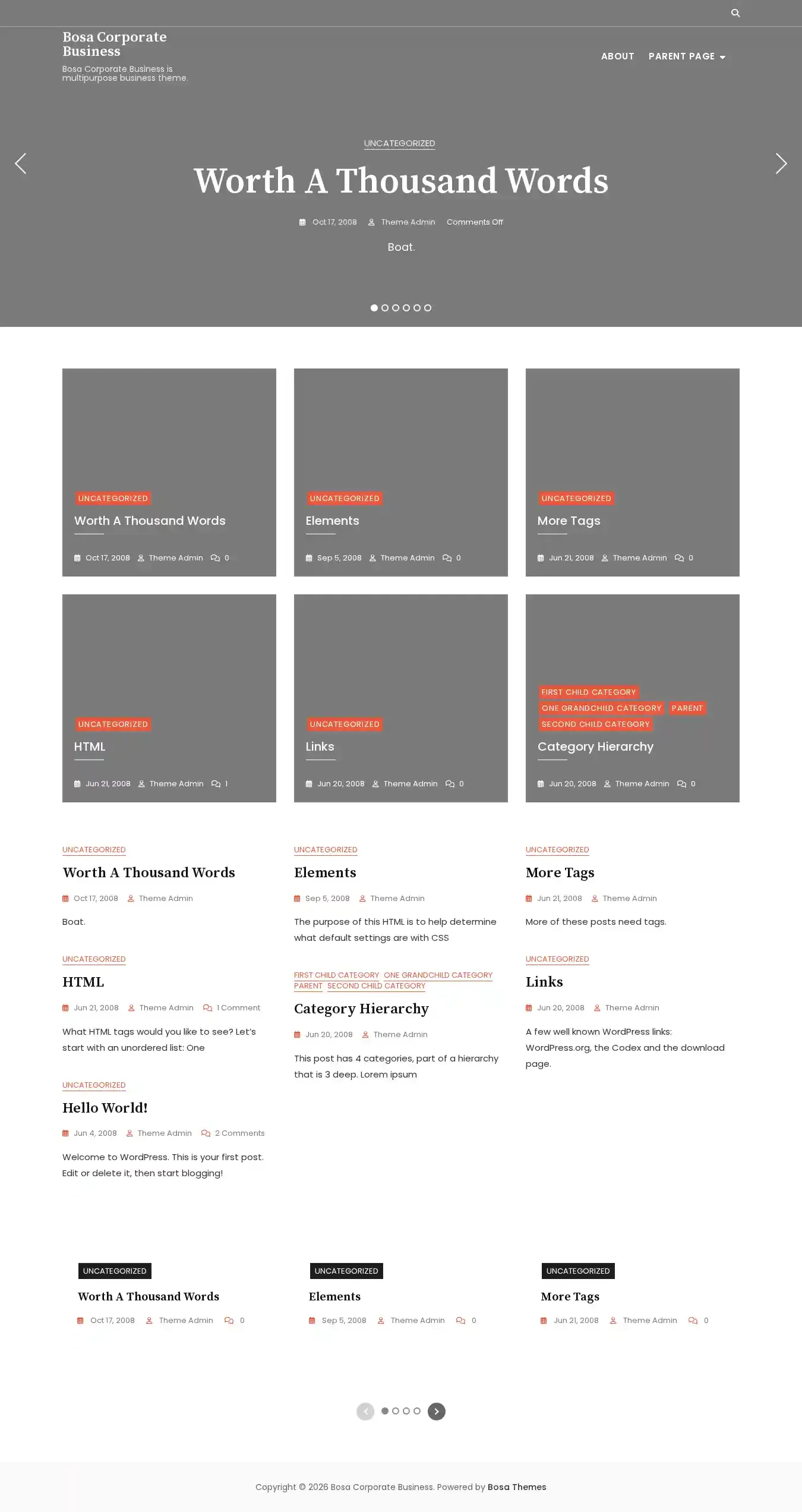 Bosa Corporate Business home page on desktop