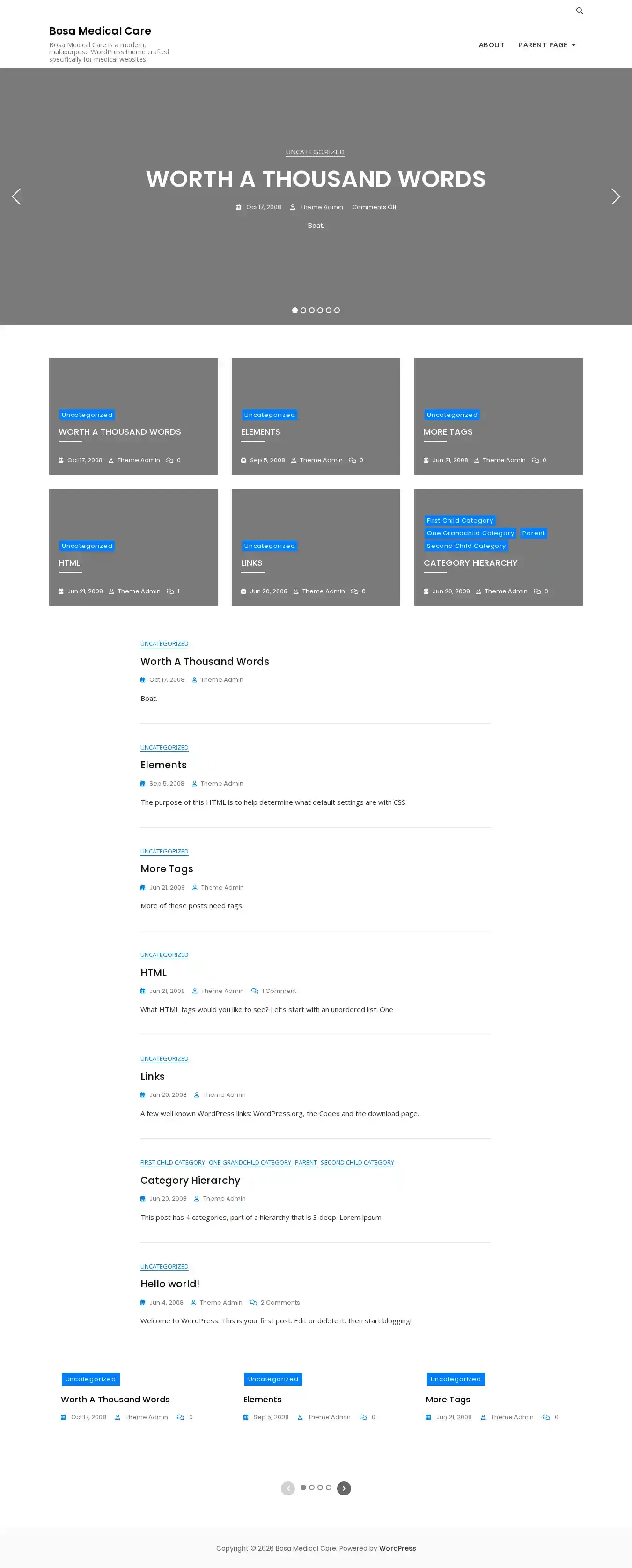 Bosa Medical Care home page on desktop