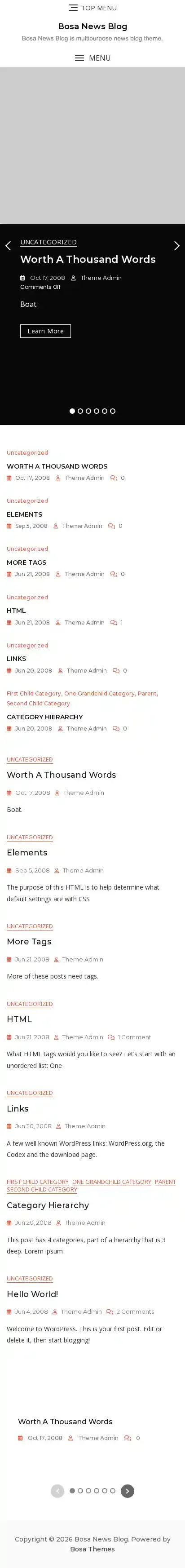 Bosa News Blog home page on mobile
