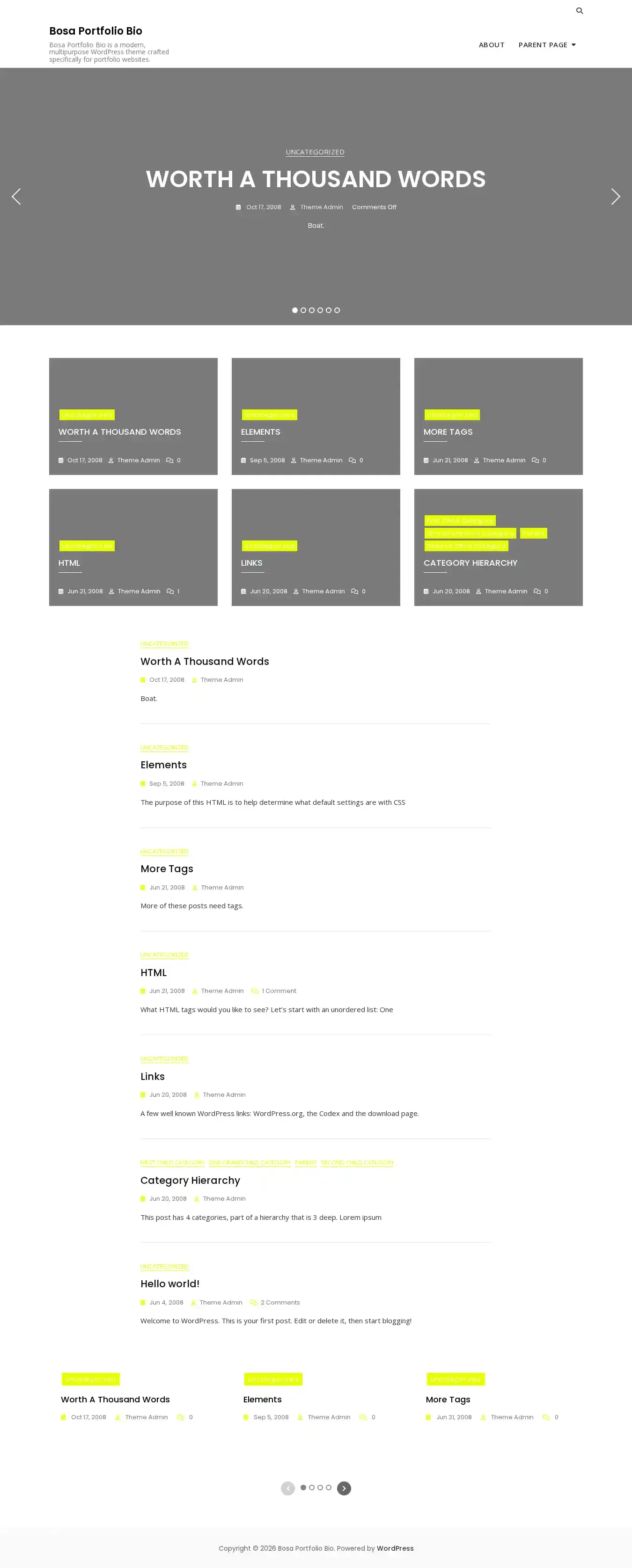 Bosa Portfolio Bio home page on desktop