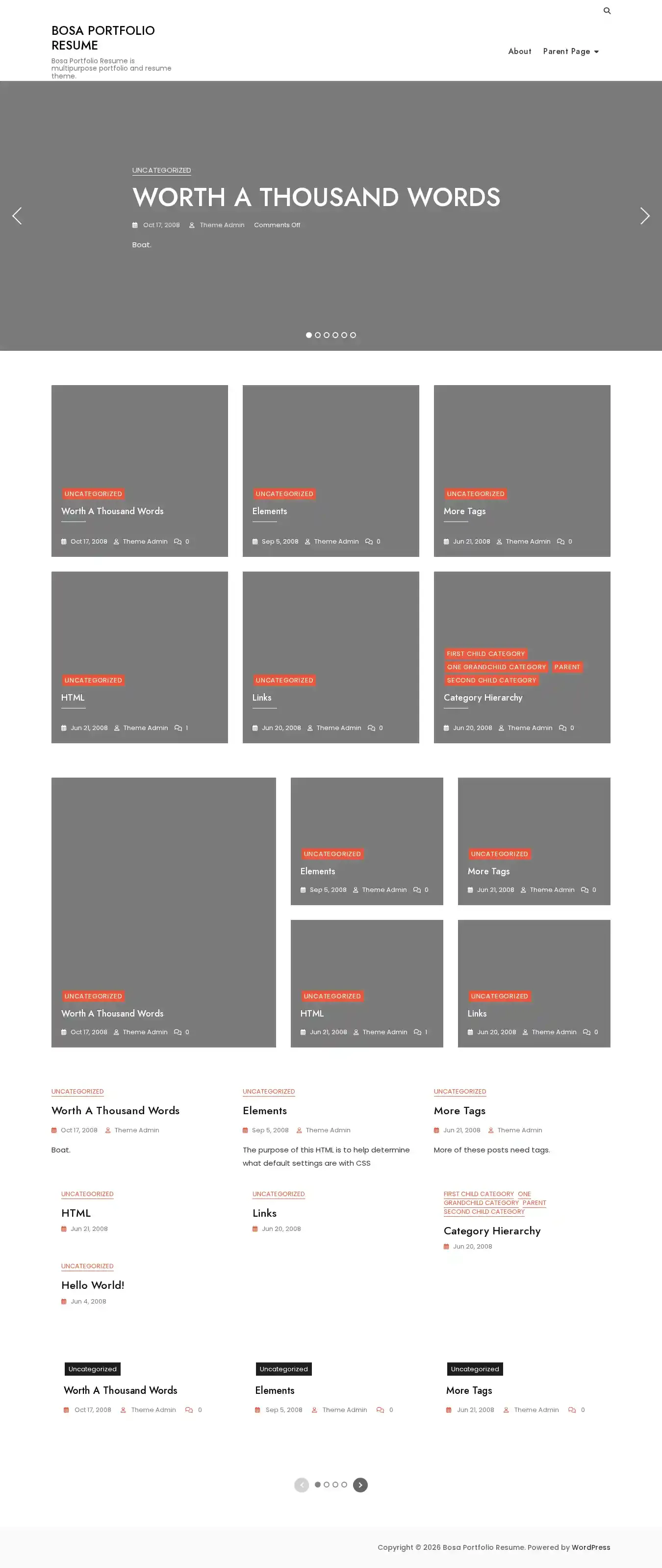 Bosa Portfolio Resume home page on desktop