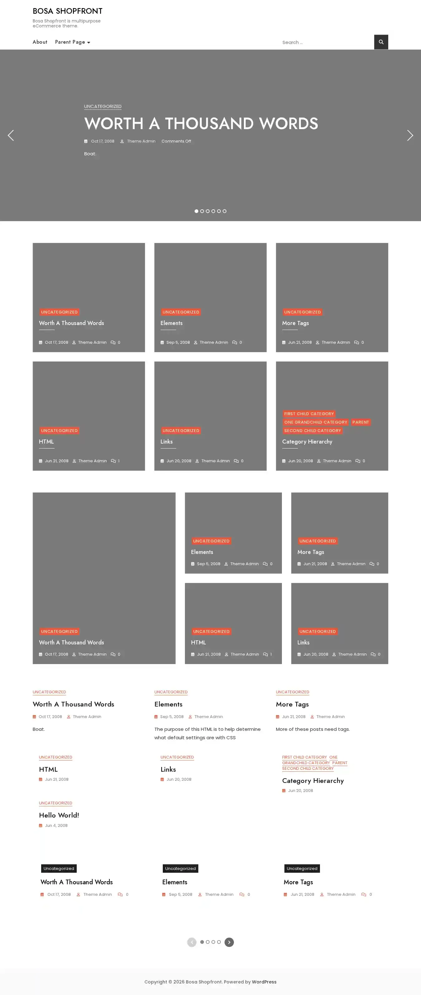 Bosa Shopfront home page on desktop