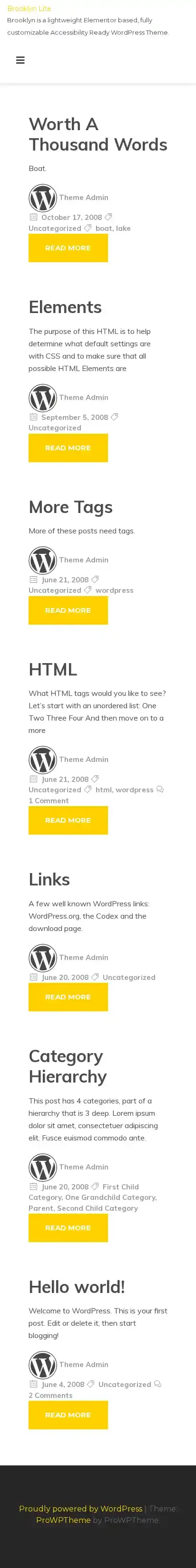 Brooklyn Lite home page on mobile