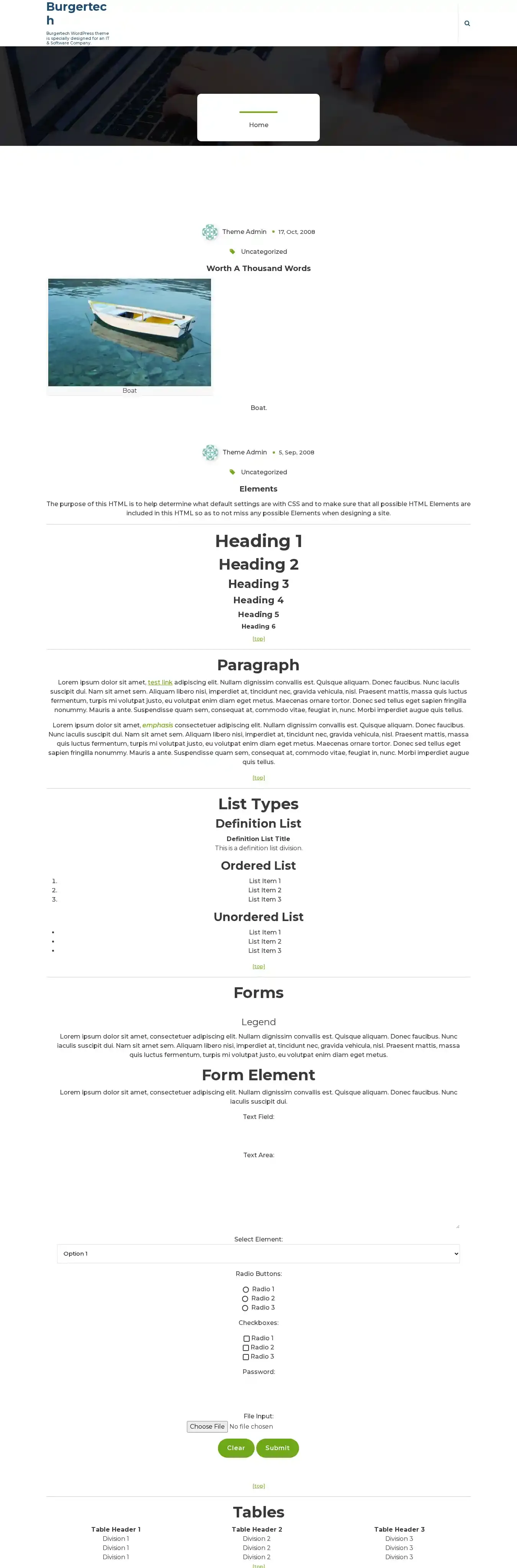 Burgertech home page on desktop